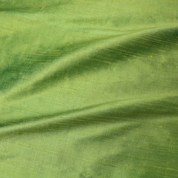 Dupioni Silk - Kiwi Fruit #406